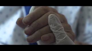 IDFA 2015 | Trailer | Sempervirens