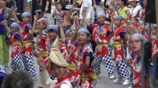 帯屋町筋ジュニア隊　2016よさこい四万十　天神橋アーケード　４K　2016 9 18