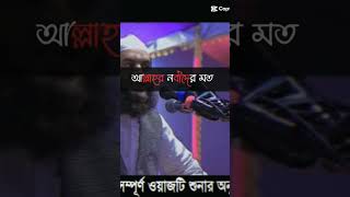 ঈমানদারের ঈমানী চেতনার নাম হলো ঈমান সাবস্ক্রাইব করে পাশে থাকুন