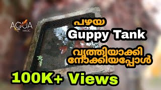 Guppy tank cleaning malayalam | guppy tank malayalam | mixed guppy malayalam | AQUA MAGIC | EP#34