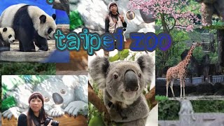 #taipei zoo#tourist spot#taiwan lets have fun with animals...Taipei Zoo