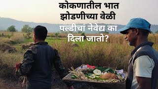 कोकणातील भात झोडणी - मळणी | Rice Threshing in kokan | Bhat Jhodani | पल्डी भरणे म्हणजे काय?