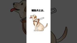 【ペットじゃないよ】「補助犬」のこと知ってる？／理解を深めよう！#マーク雑学 #雑学 #豆知識 #豆知識シリーズ #トリビア #今日の雑学 #雑学大好き #ほじょ犬マーク #盲導犬 #介助犬 #聴導犬