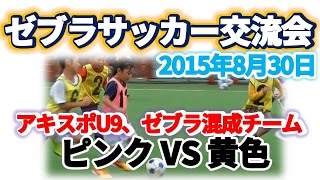 【ゼブラサッカー交流会 アキスポU-9、成立ゼブラ混成チーム】ピンクvs黄色