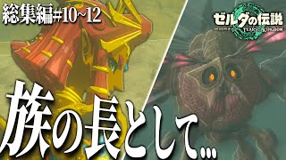 【総集編】成長したゲルドの族長ルージュと再会！ティアキンストーリーを一気見！  #10~12 【ゼルダの伝説ティアーズオブザキングダム】【ティアキン】【ゆっくり実況？】