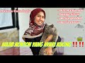 UPDATE STOK KUCING DI AKSARA CATS JOGJA || WAJIB NONTON YANG NYARI KUCING ‼️