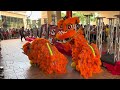 cny 2025 🐍 acrobatic lion dance @ sunway pyramid