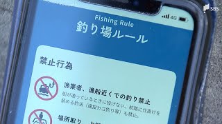 釣り人とのトラブル防止へ全国初！スマホアプリで釣り場、漁港を守る『海釣りGO』=静岡・西伊豆町