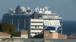 Crucero Majestic Princess en Puerto Madryn 29dic2024