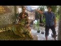 Thai zoo sparks outrage after poked tiger video goes viral