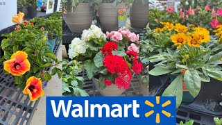 WALMART BEST NEW PLANTS ARRIVALS FOR SPRING/SUMMER | HOW TO MAKE YOUR GARDEN BEAUTIFUL?