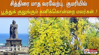 சித்திரை மாத வரவேற்பு..குமரியில் பூத்துக் குலுங்கும் \