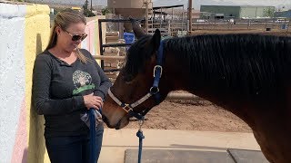 A Nonprofit Uses Horse Therapy to Help Kids With Special Needs | Women Entrepreneurs