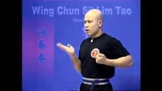 Wing Chun kung fu siu lim tao - form  applications Lessons 3-10