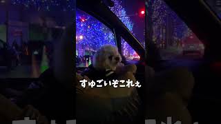 御堂筋イルミネーション見に行った犬【関西弁でしゃべる犬】#illuminations#580#御堂筋イルミネーション#イルミネーション#トイプードル#shorts