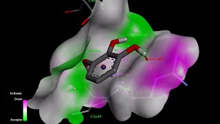 Autodock Vina docking result analysis