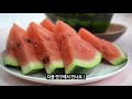 수박 살 때 이것만 보고 가세요 🍉 고르는 법 자르는 법 보관 채소과일 연구소