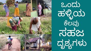 Few Natural Scenes of a Village / ಈ Beautiful ದೃಶ್ಯಗಳನ್ನು ನೋಡುವುದೇ ಚಂದ! / ಸುಂದರ ಪರಿಸರ \u0026 ಮುಗ್ಧ ಜನರು /