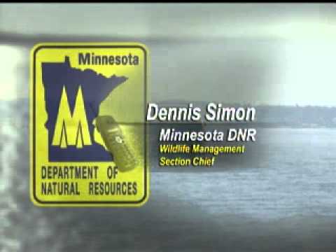 MN Hunting and Fishing License Fees May Go Up - Lakeland News at Ten - Jaunary 10, 2011 MN Hunting and Fishing License Fees May Go Up - Lakeland News at Ten - Jaunary 10, 2011