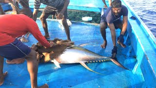 கடலில் நீண்ட தொலைவில் தூண்டிலில் மீன்பிடித்தல்|long distance bait fishing in the ocean