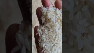 Single polished rice Vs Normal white rice