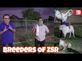 Top Quality Barbari Breeders of ZSR Goat Farm Pune | JD Goat Farm |