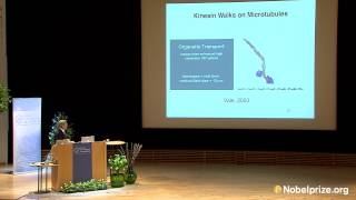 Clip: Martin Karplus, Nobel Lecture 2013