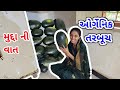 Tarbuch no Dhaglo || Organic Watermelon || EP 160