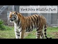 Yorkshire Wildlife Park 4k 2023 Doncaster Uk Zoo Tour Animal Footage Lions Tigers Bears Giraffes