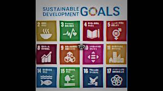 存在しないSDGs[6]#sdgs #ビノミ