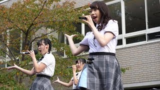 やっぱりまかろん。 「恋は初心者マーク」 そうだ踊ろう！in 関大