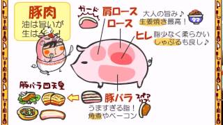 食育２話「豚肉の部位の名称」