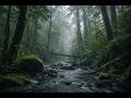 Floating in Silence | Deep Ambient Meditation Soundscape for Sleep & Mindfulness