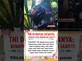 tni pesan bapaknya ayah ibu suami istri motivation tni polri kkb papua