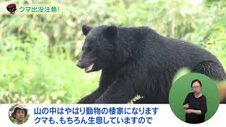 いわて！わんこ広報室【第１０回】クマ出没注意！～人身被害防止対策～（2023/8/28～9/10放送)