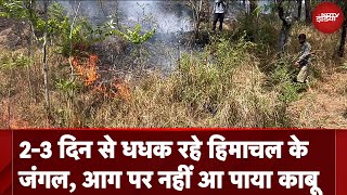 Himachal Forest Fire: दो-तीन दिन से धधक रहे हिमाचल के जंगल, अब तक आग पर नहीं पाया जा सका काबू