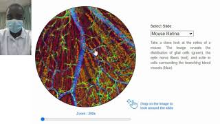 Virtual Microscope Simulation | Science Experiment | Virtual Lab Simulation