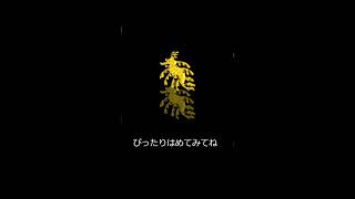 何て名前の魚でしょうか？（夜行性）答えは説明に書いてあるよ