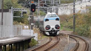 JR阪和線　山中渓駅2番ホームを287系パンダくろしおが通過