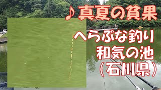 へらぶな釣り・和気の池（石川県）…真夏の貧果