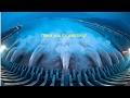 Basics of hydropower