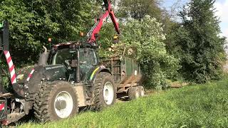 Bäuml Forst- und Landschaftspflege bei Fällarbeiten mit einem Valtra T214  an der Autobahn A3