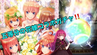 【白猫テニス】五等分の花嫁コラボガチャで花嫁衣装の五つ子を当てたい‼️