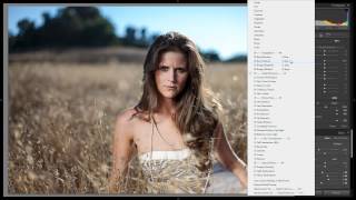 Learning the Brush Presets in the Lightroom 4 Preset System