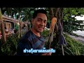 ep.44 ที่พักติดทะเลพัทยา หาดบางเสร่ pattaya paradise beach resort บ้านพักติดทะเล พัทยาพาราไดซ์บีช