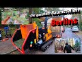 🐒 Die geilsten Baumstellen Berlins 🌳 I Bades Baumdienst ✅