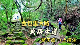 金包里大路(魚路古道) 擎天崗至上磺溪段(走遍陽明山尋寶任務) 【擎天崗系步道】Fish Road Historical Trail