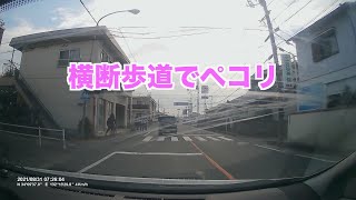 信号機のない横断歩道　自転車女子がペコリ　ドラレコ　☆145