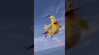 Chuck Vs Sonic #shorts #angrybirds #sonic