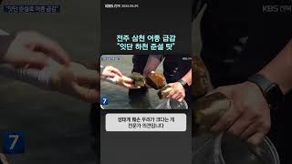 전주 삼천 어종 급감 \